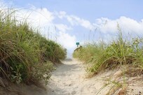 Beach!