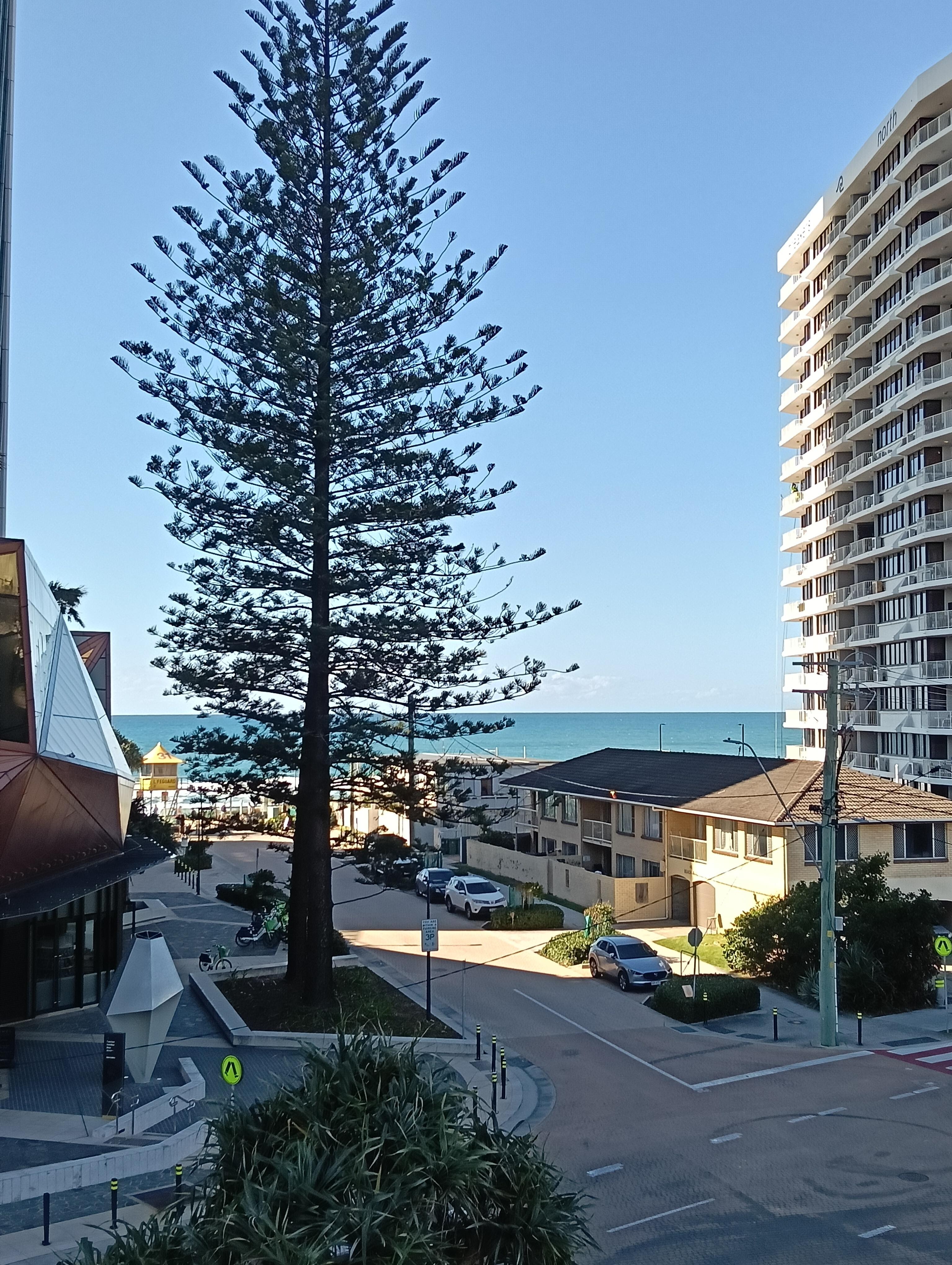View from kitchen/dining room 