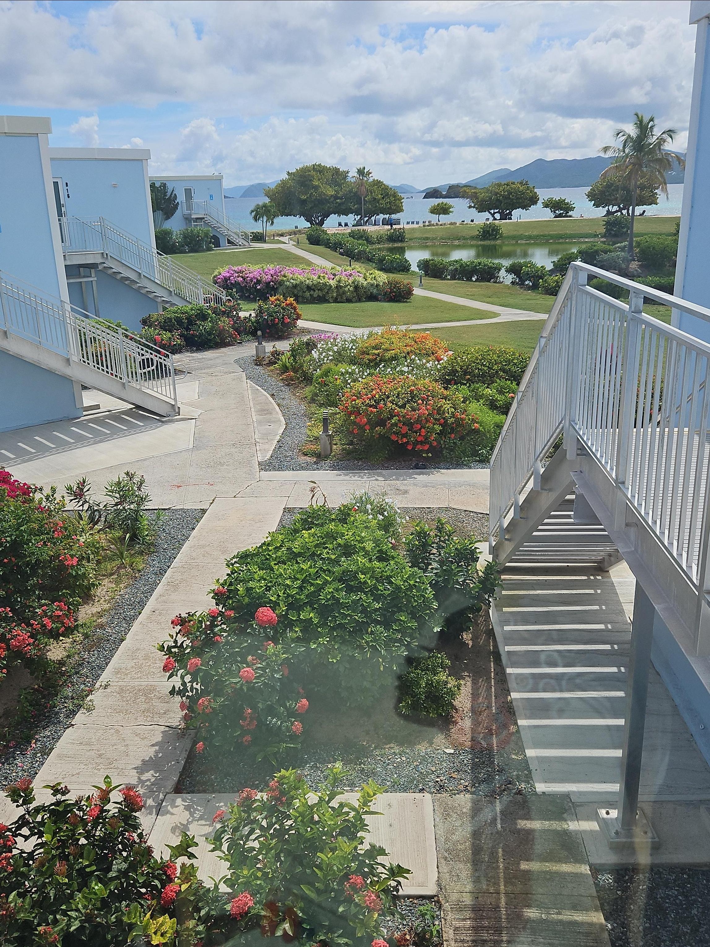 View from our window