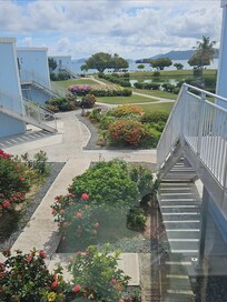 View from our window