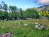View of stream from back of cabin.
