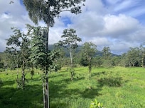 Our view from a poolside room