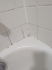 Mold