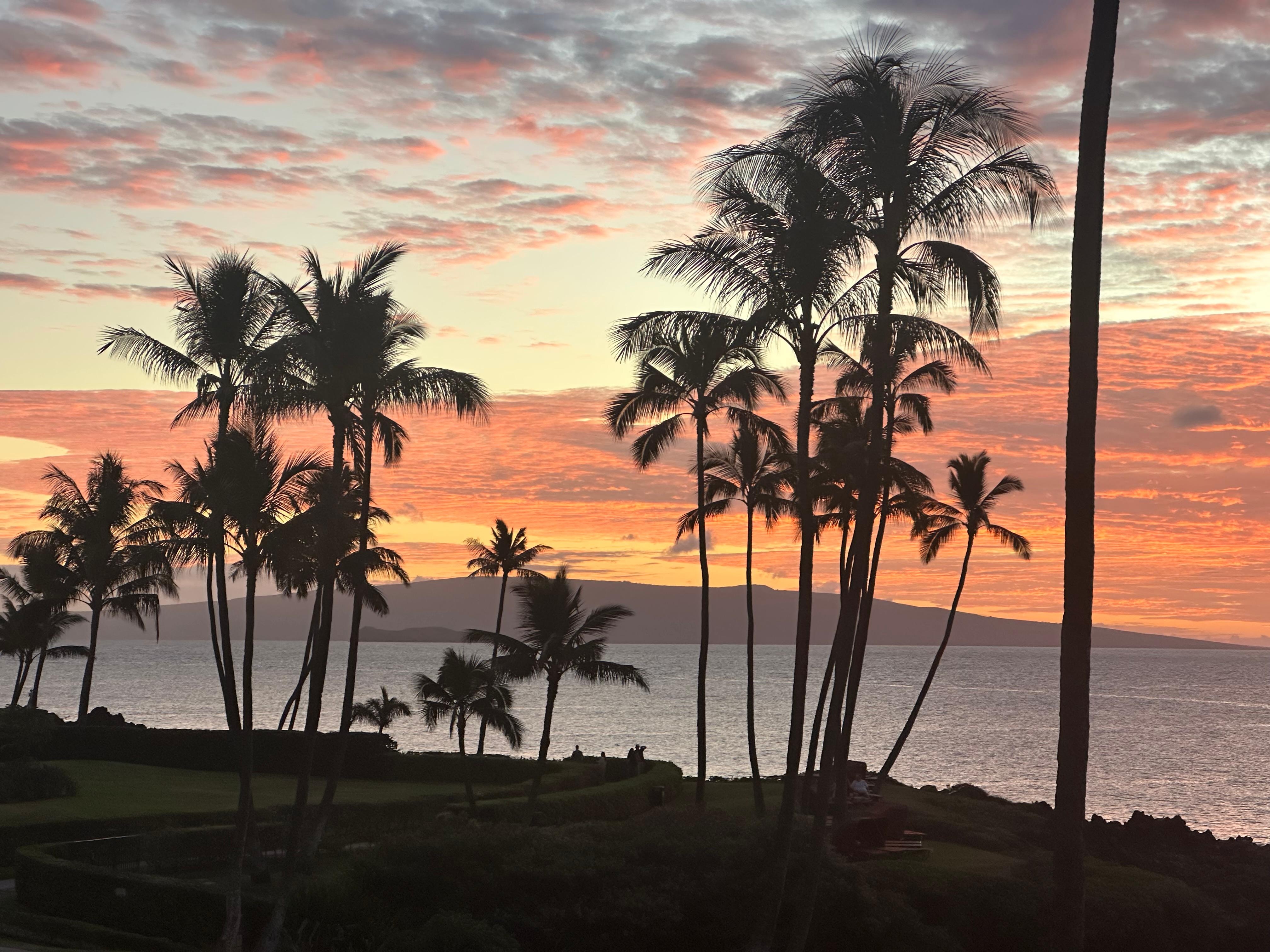 Beautiful sunset from deck. 