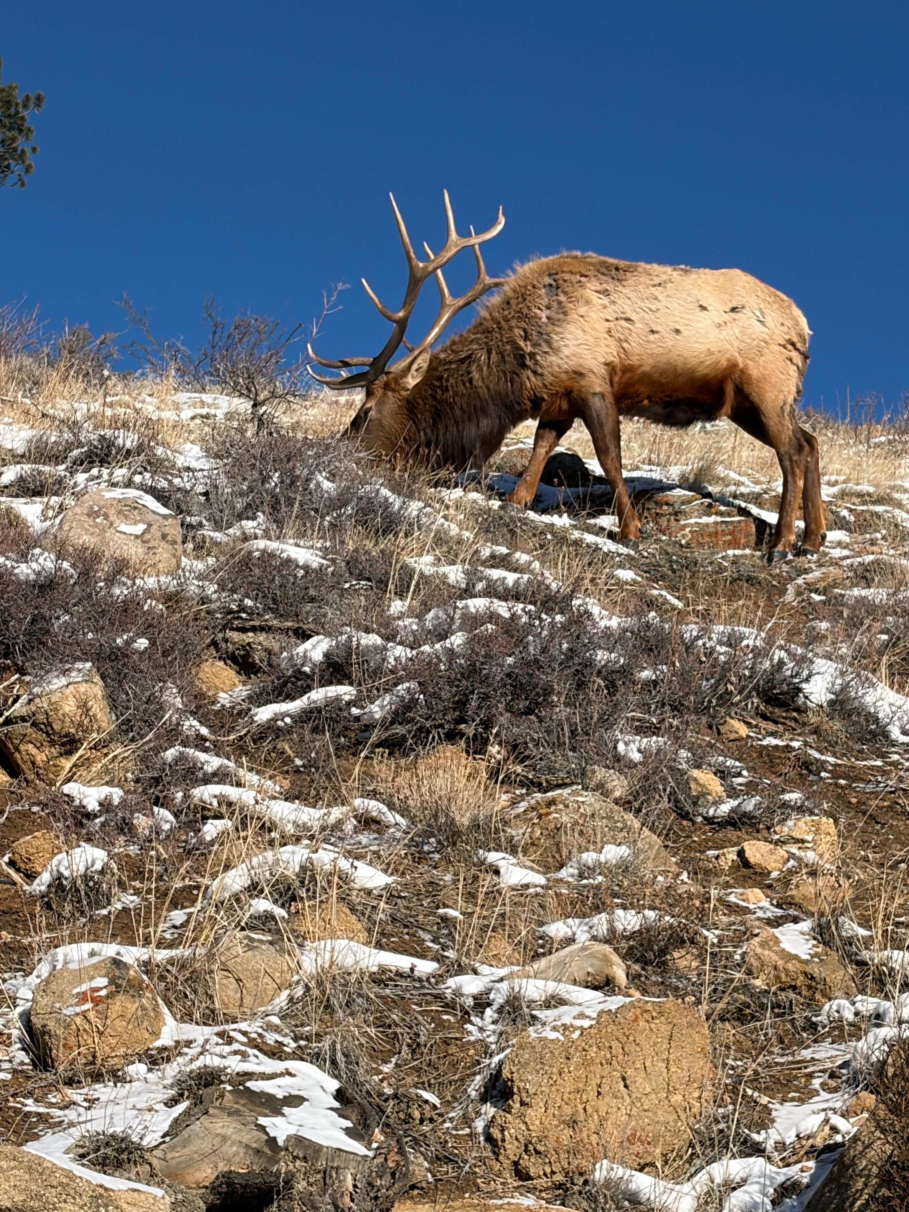 We saw wildlife everywhere