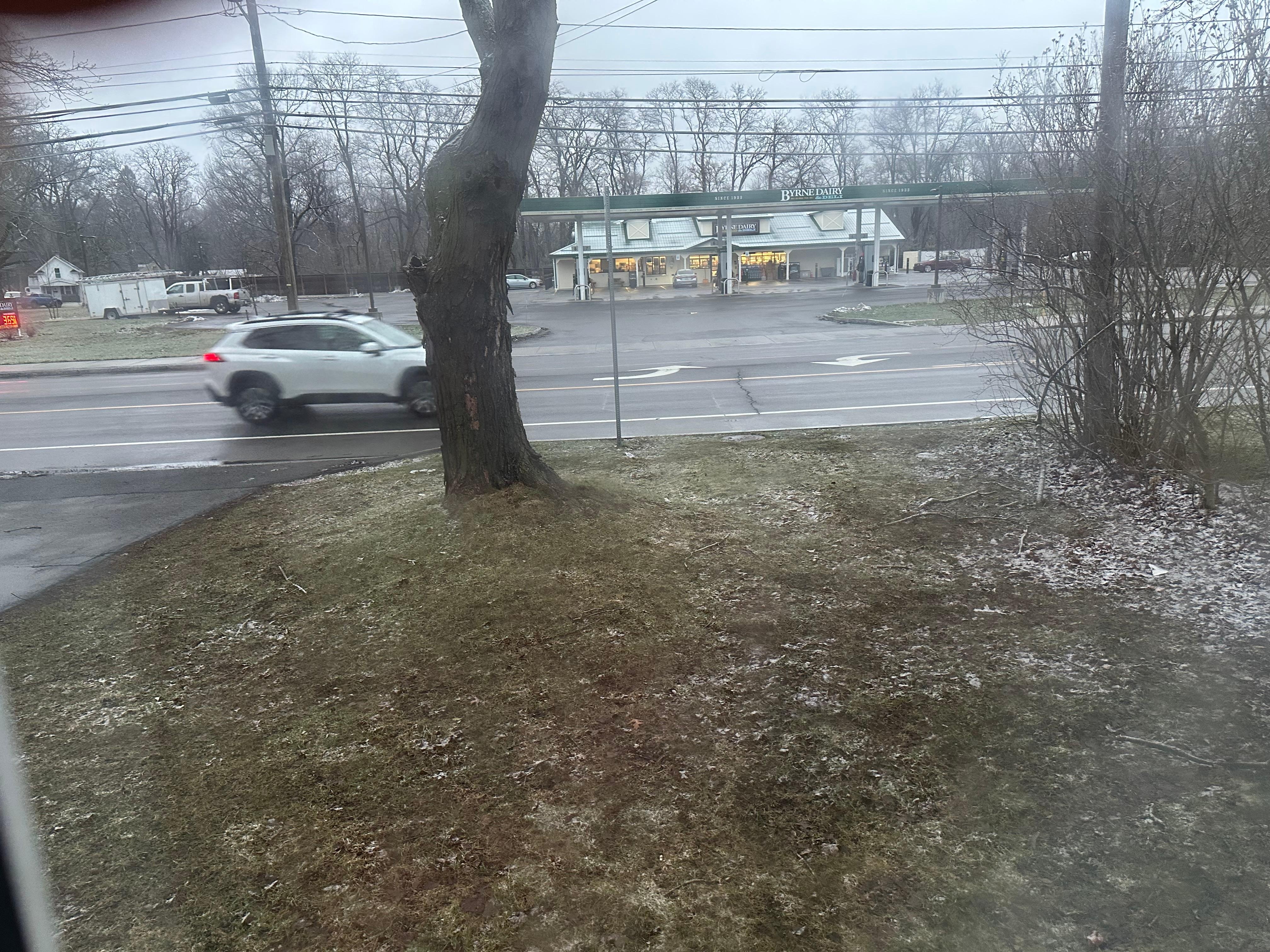 View from living room window (where the pul out couch is???)