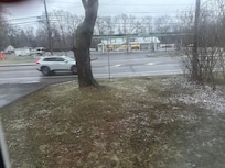 View from living room window (where the pul out couch is???)