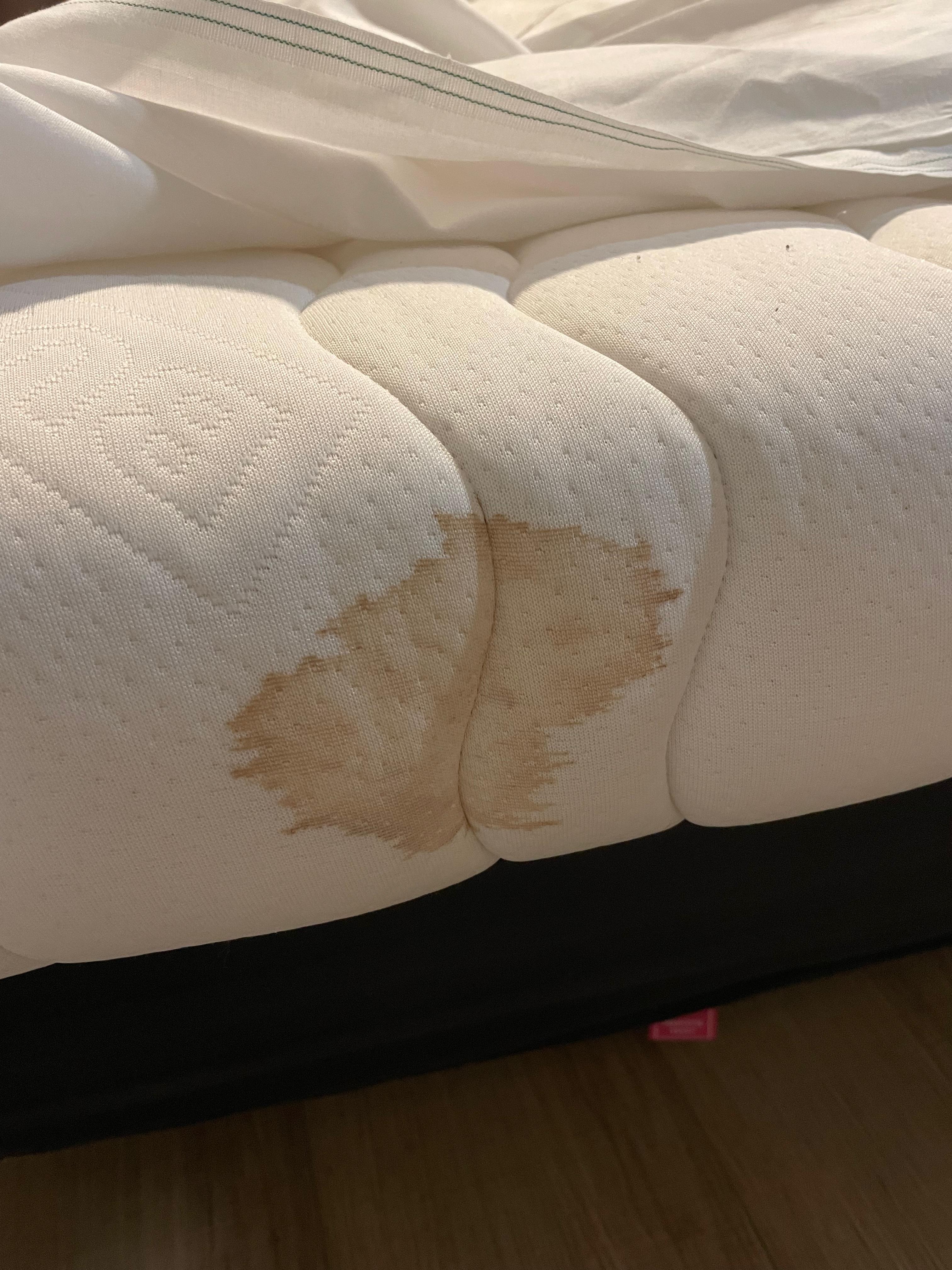 Tache de sang urine ? 