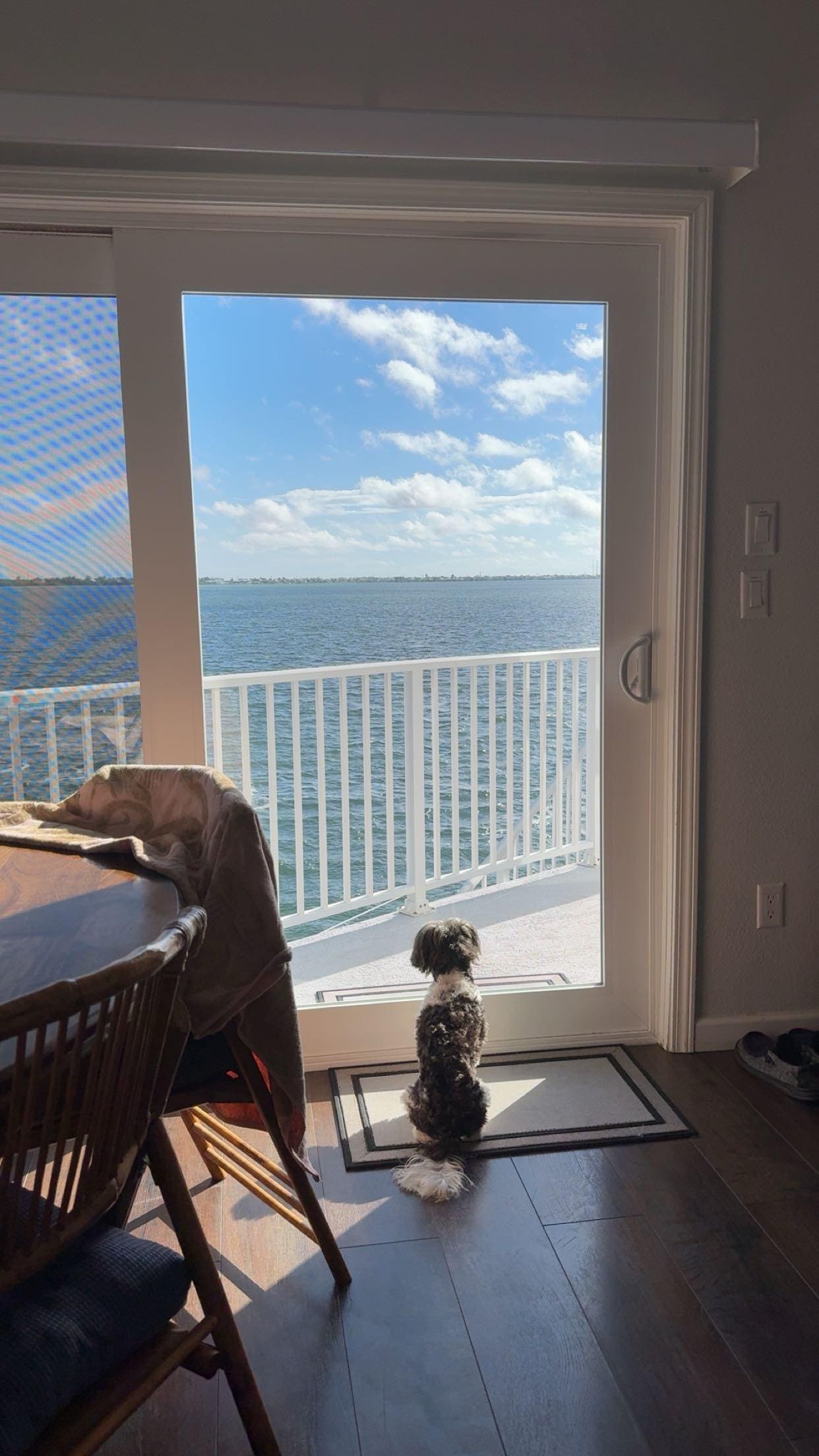 The view every morning 