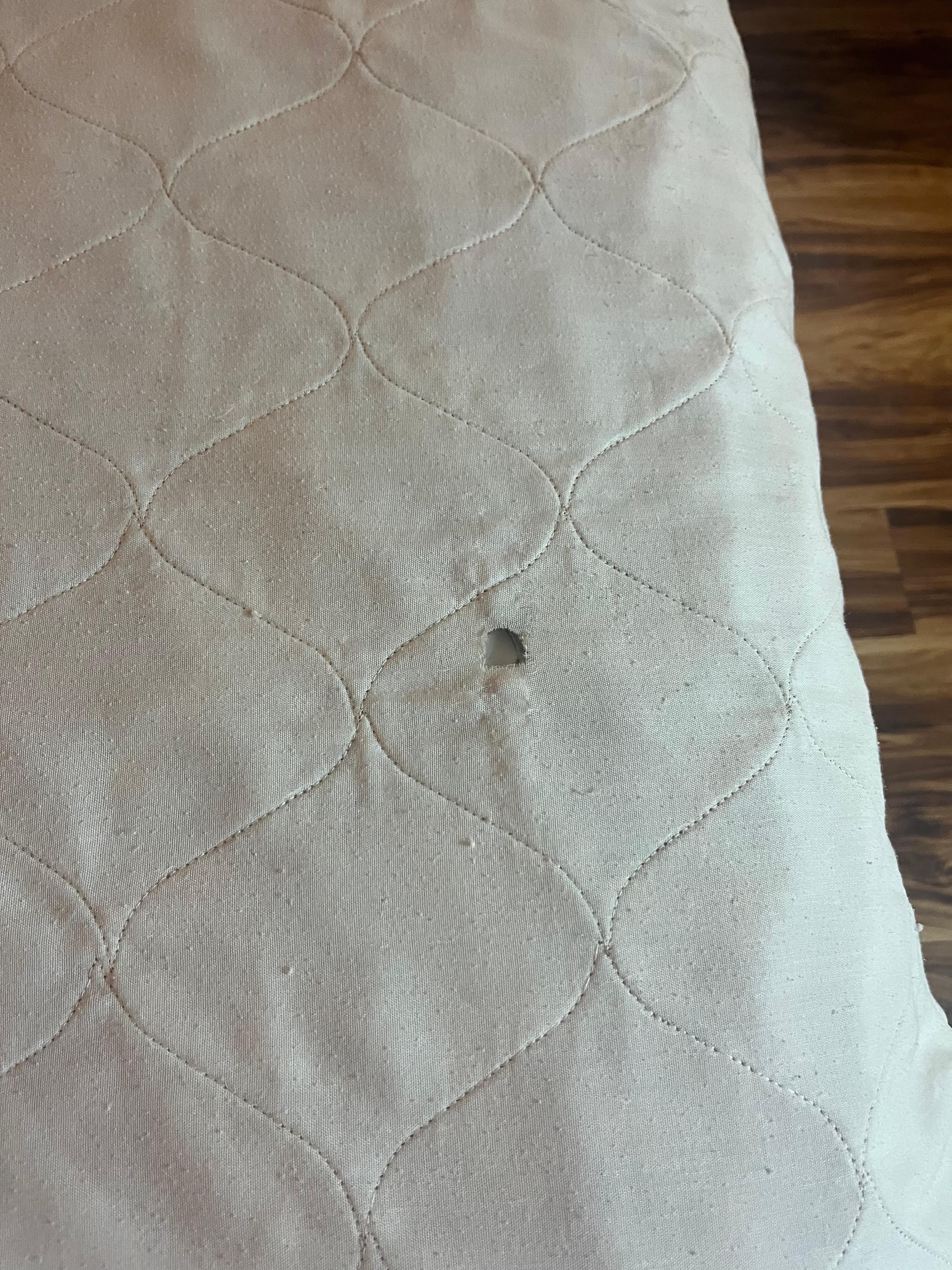 comfortor