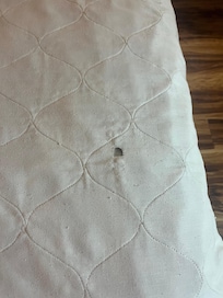 comfortor