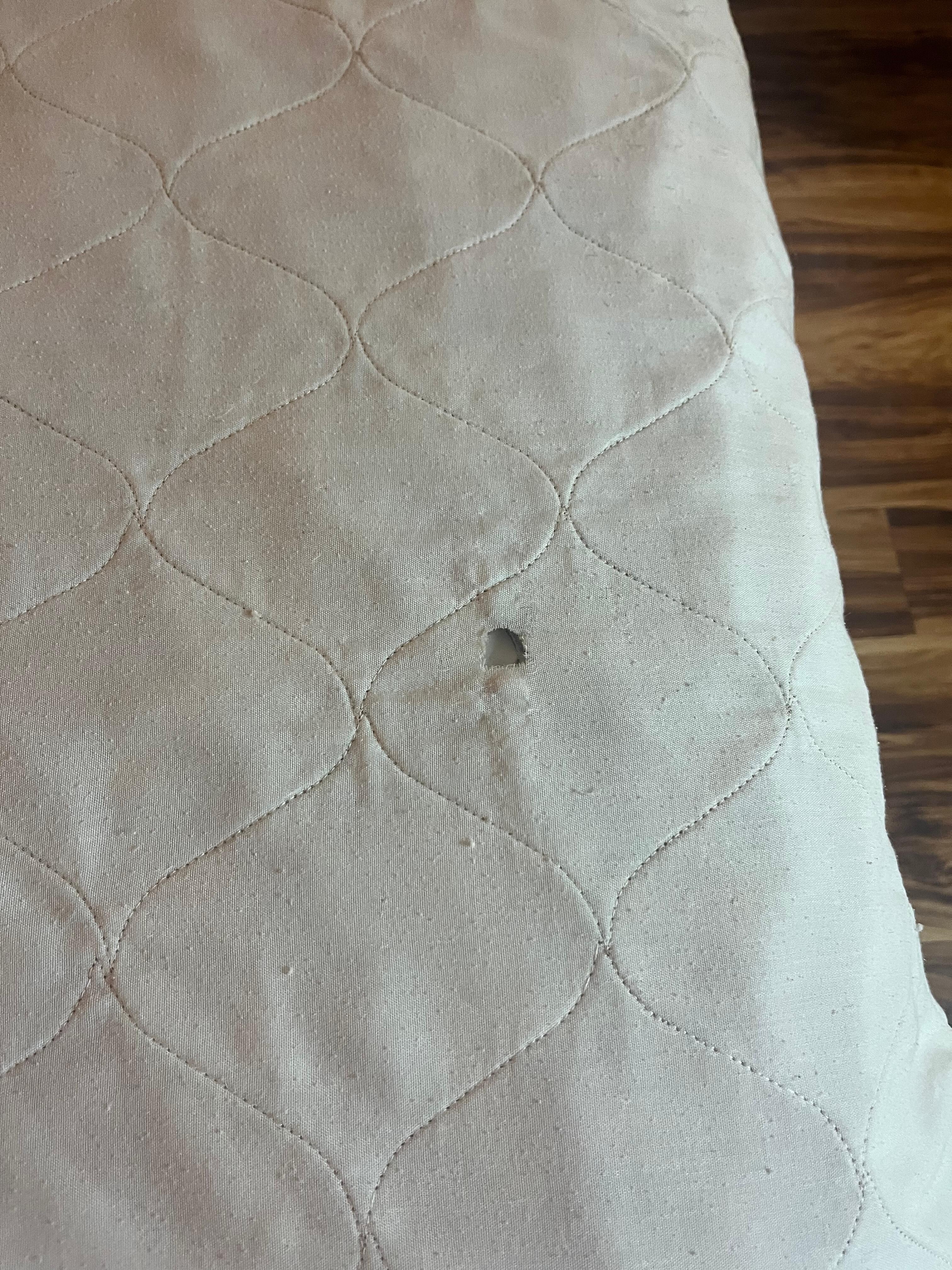 comfortor 