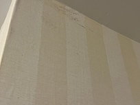 mold