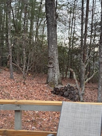 A friendly neighboor