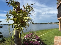 View of Little Jackson Lake