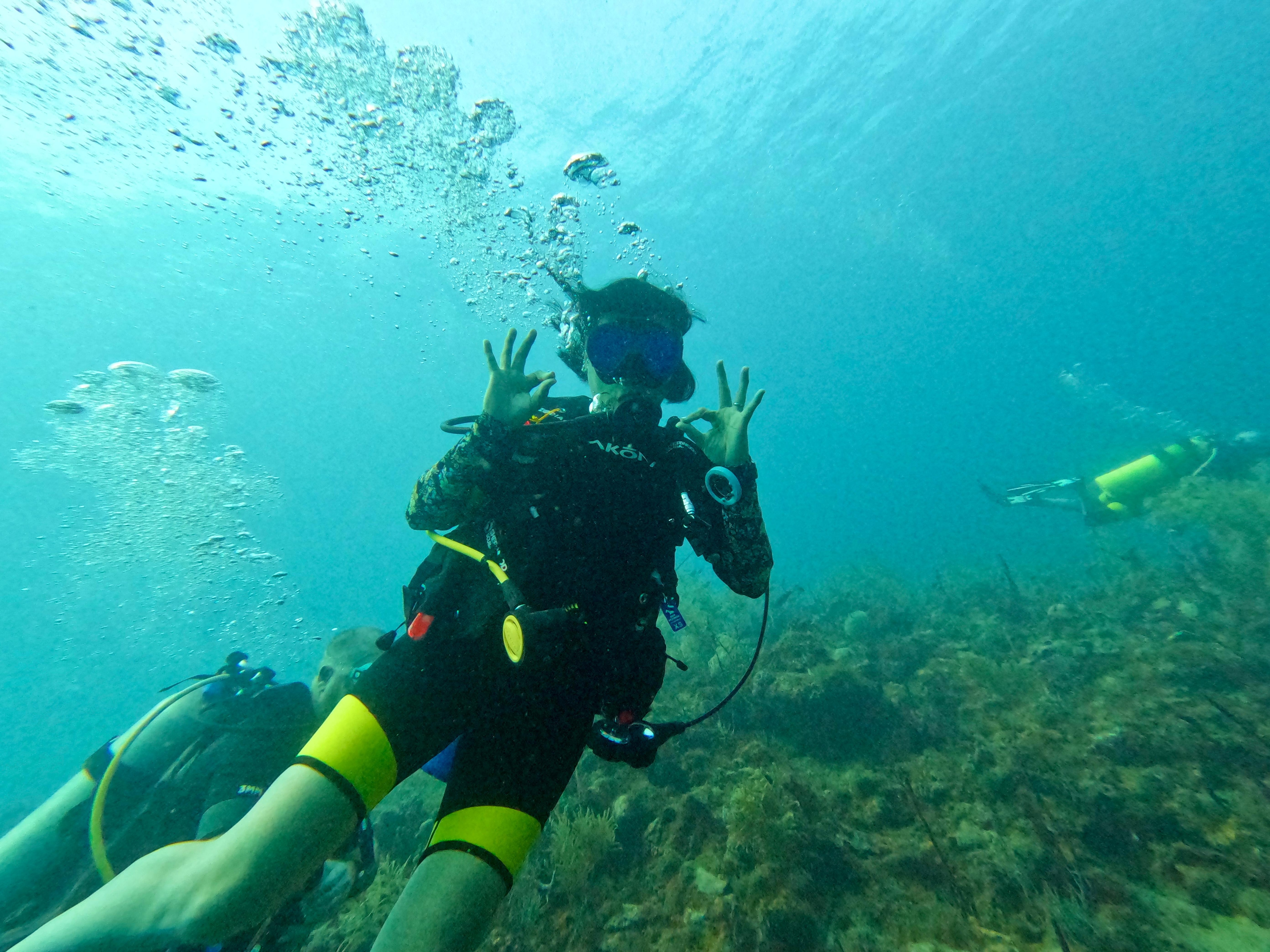 Amazing fun dives with divegrenada just next door Mt Cinnamon, our 14 year old daughter loves it. 