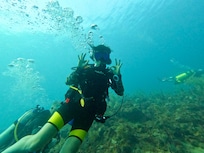 Amazing fun dives with divegrenada just next door Mt Cinnamon, our 14 year old daughter loves it.