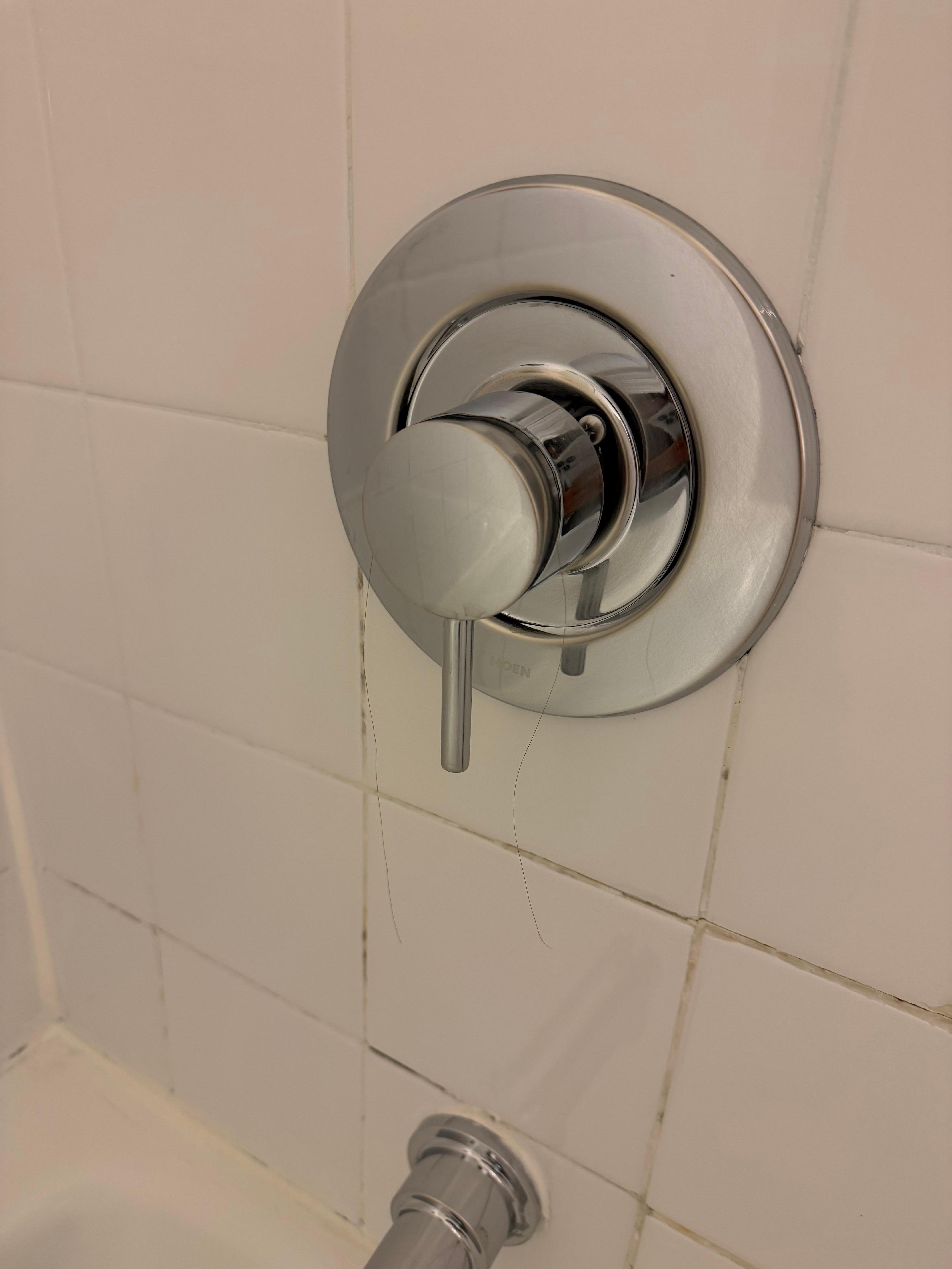 Pelo en el baño muy desagradable 