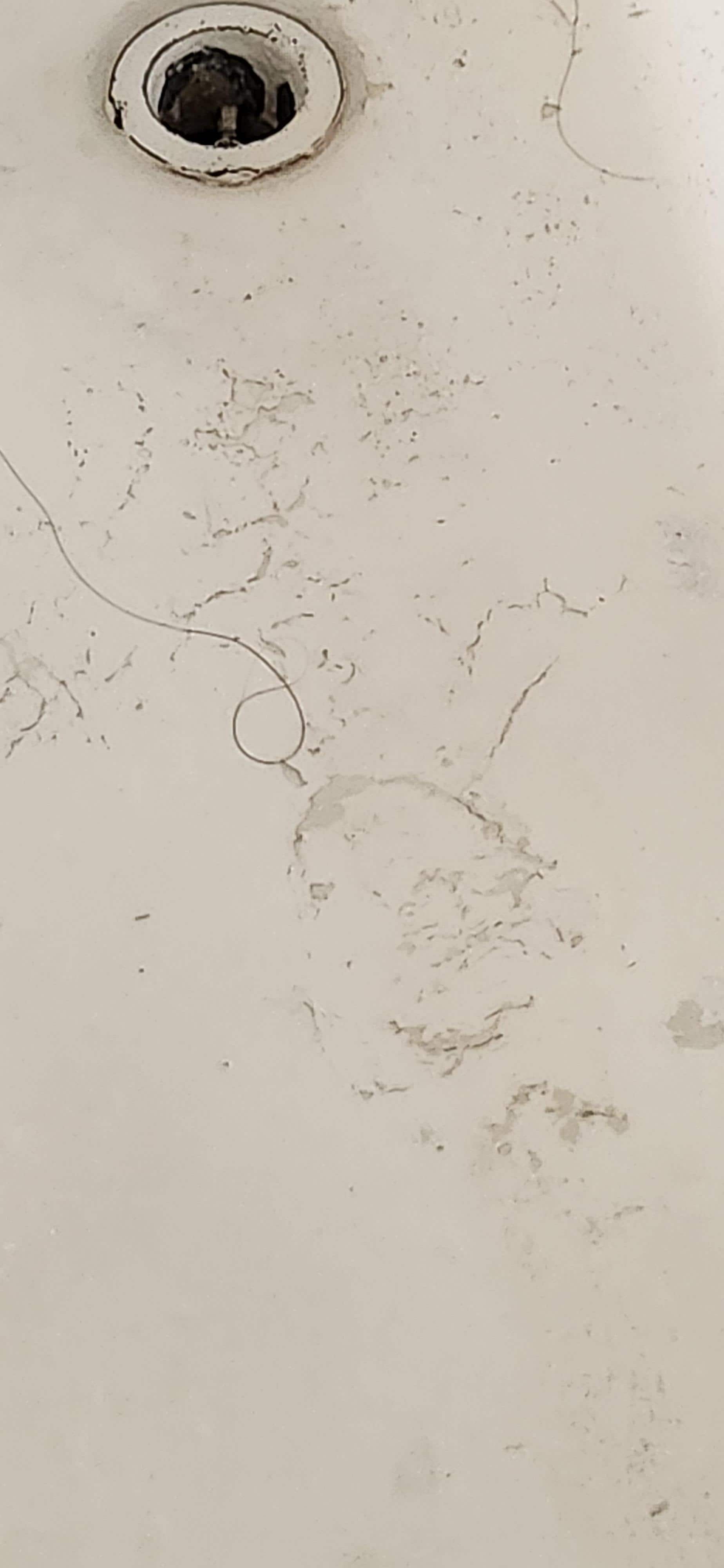 Tub is dirty with other people's hair