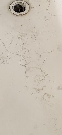 Tub is dirty with other people's hair
