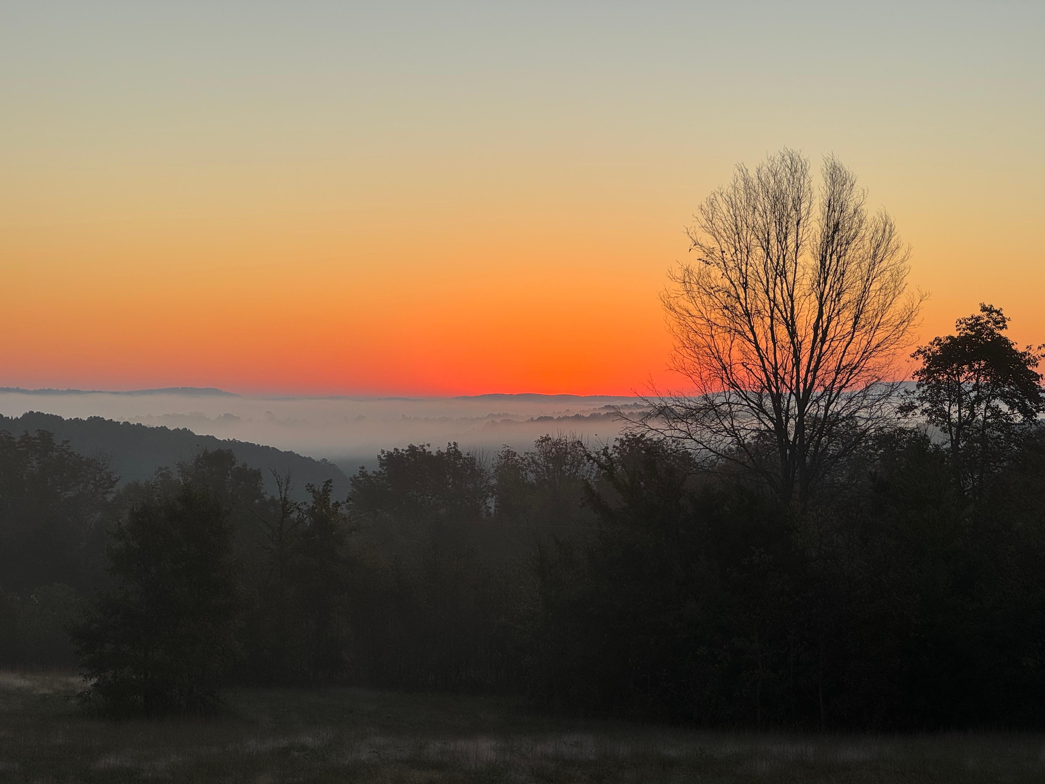 Valley fog at sunrise
