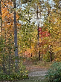 October stay, trail view
