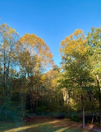 View from loft sleeping area window