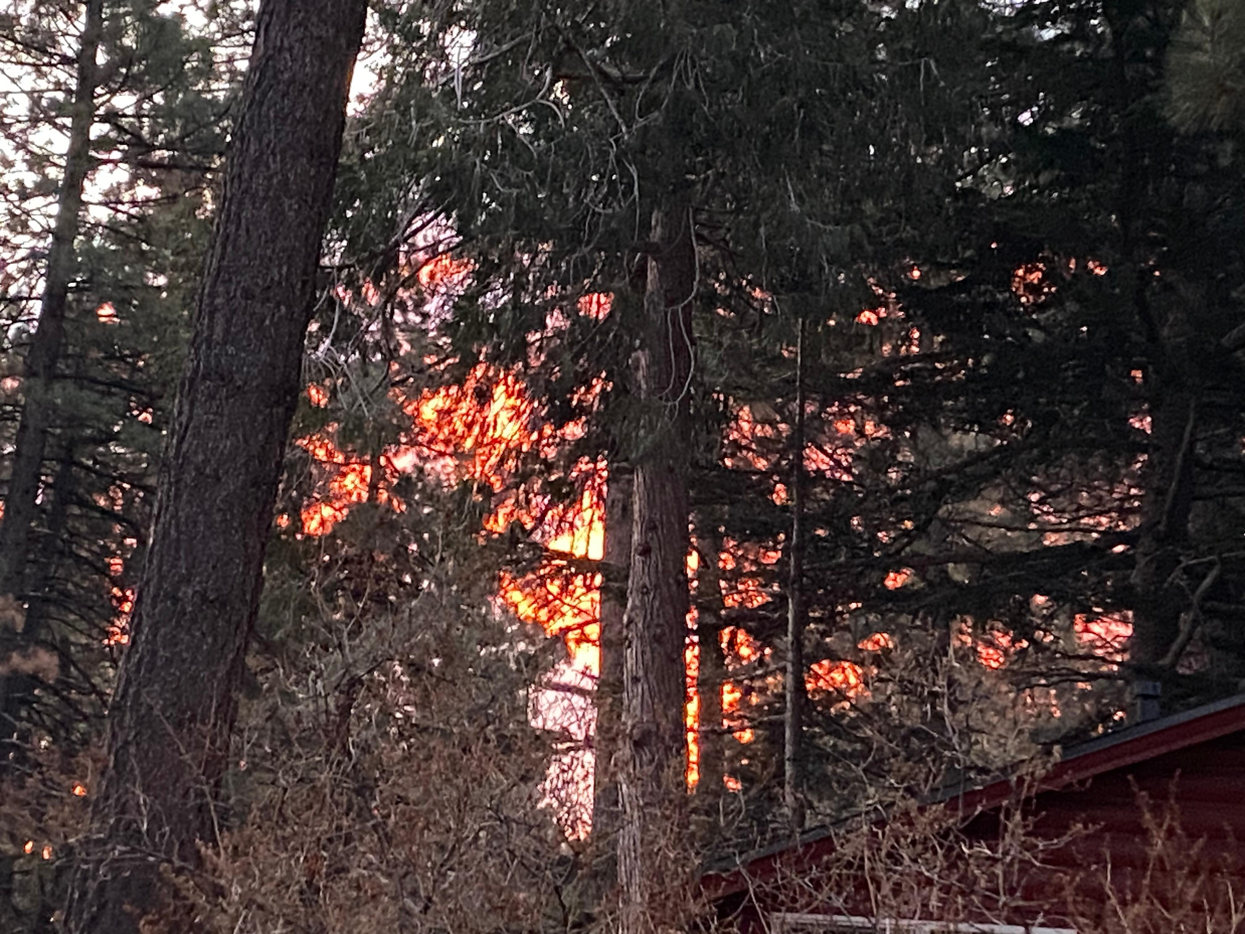 Sunrise taken from the front porch!