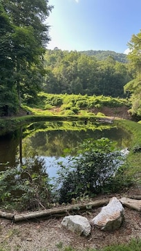 view from "front yard"