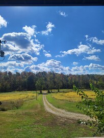 Porch View