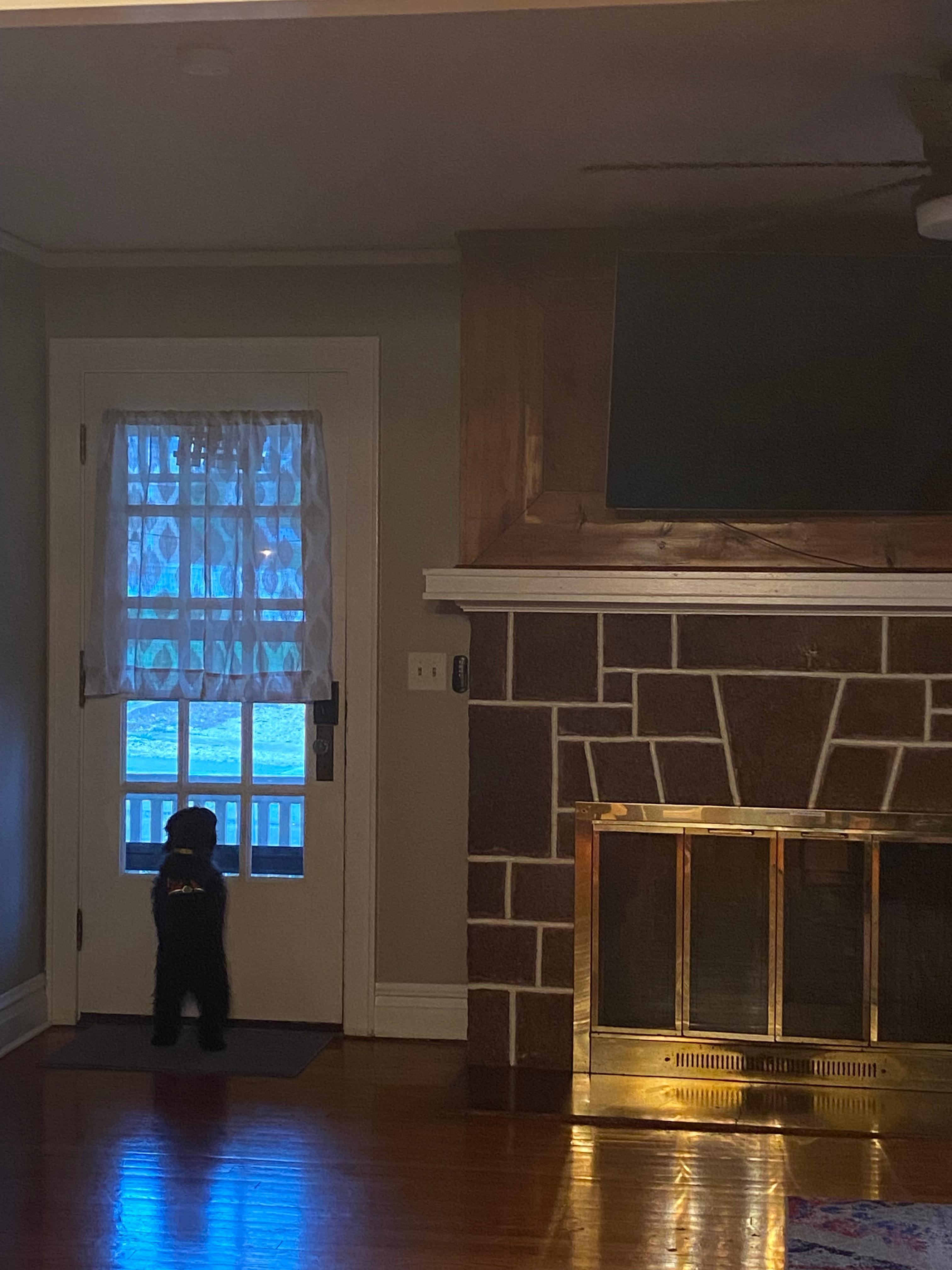 Gus gives his stamp of approval.