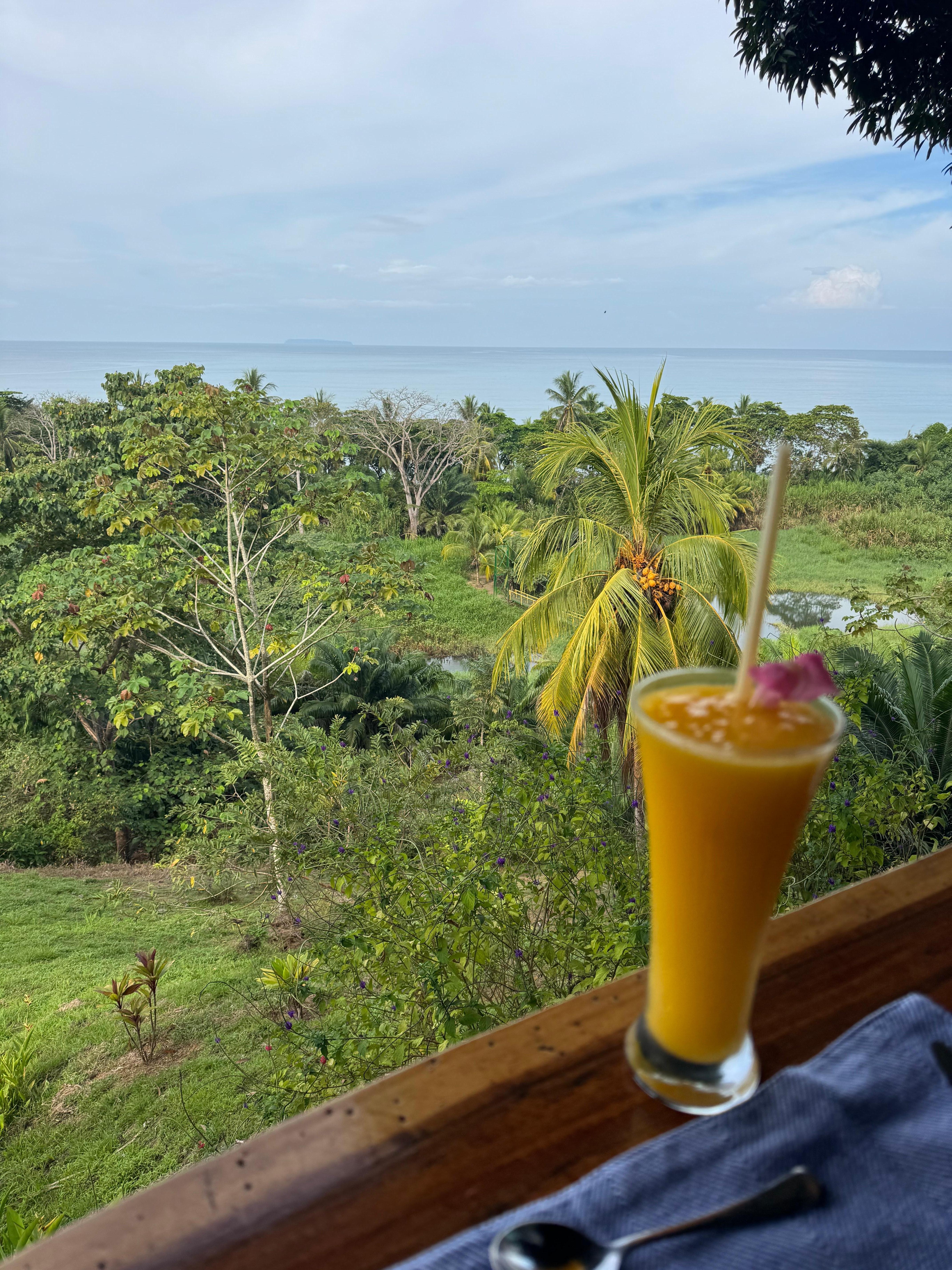 Breakfast with a view!