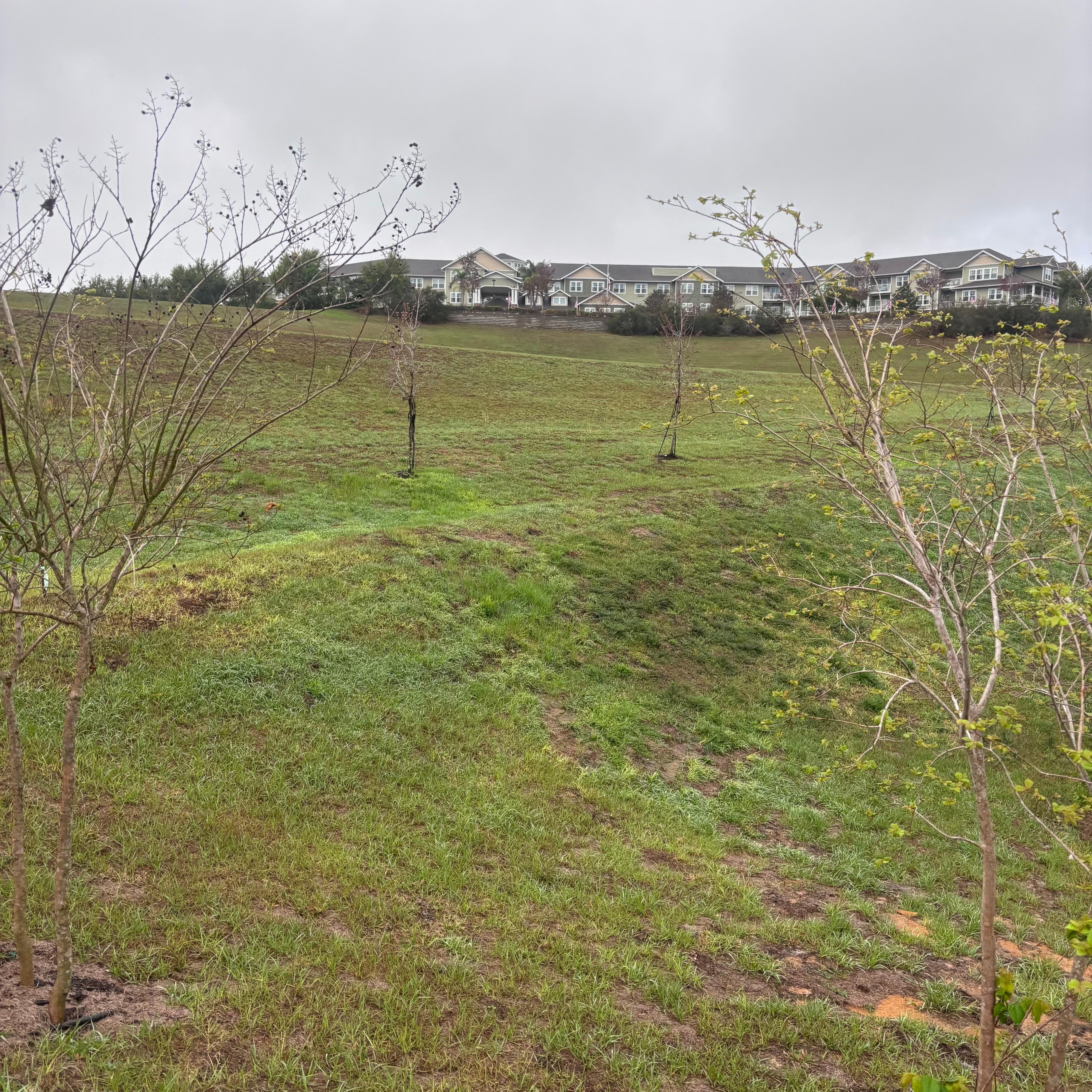 Walkway view outside the hotel
