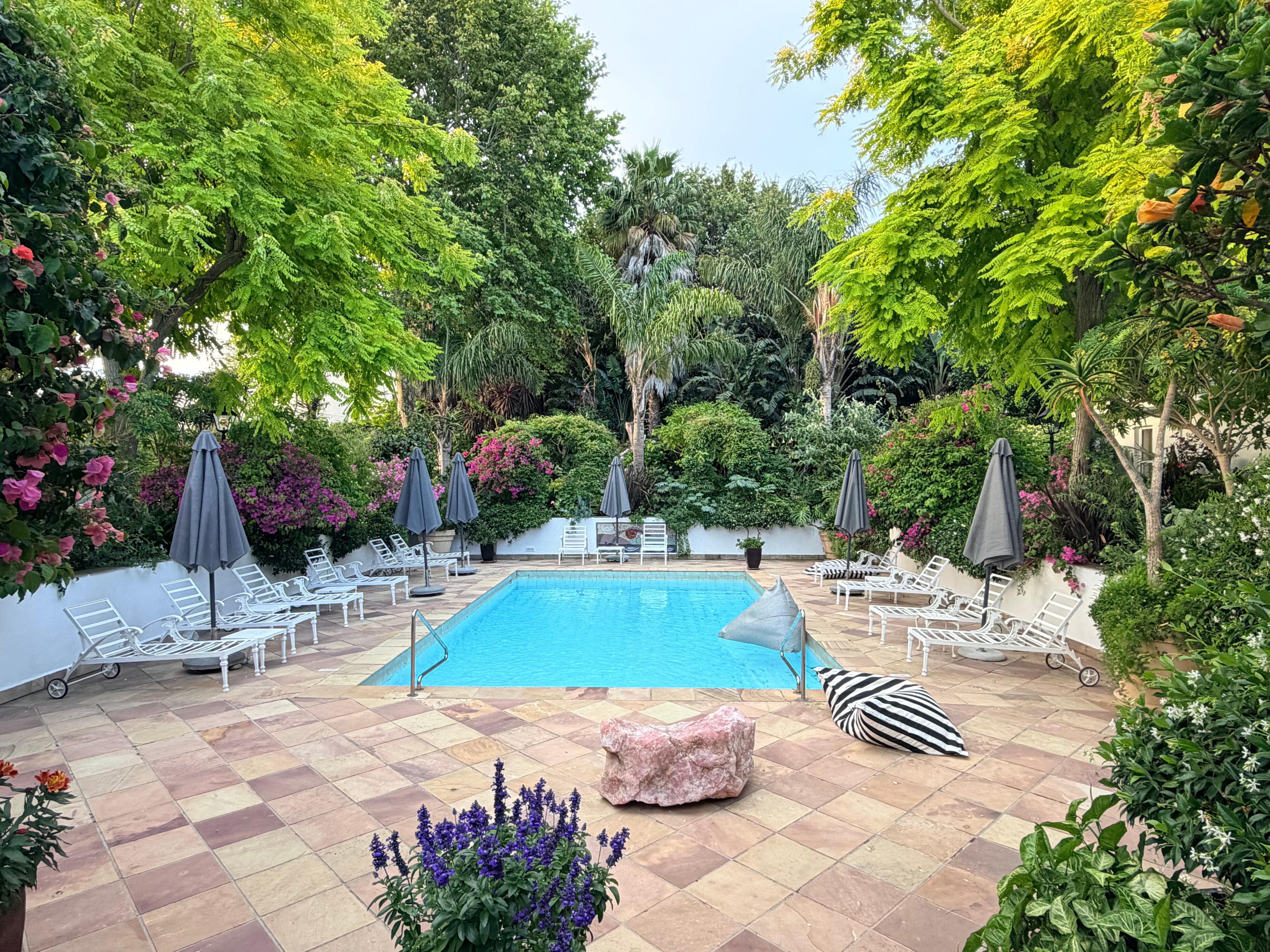 Garden area, great for bird watching