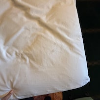 Stains