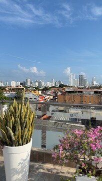 View from the roof