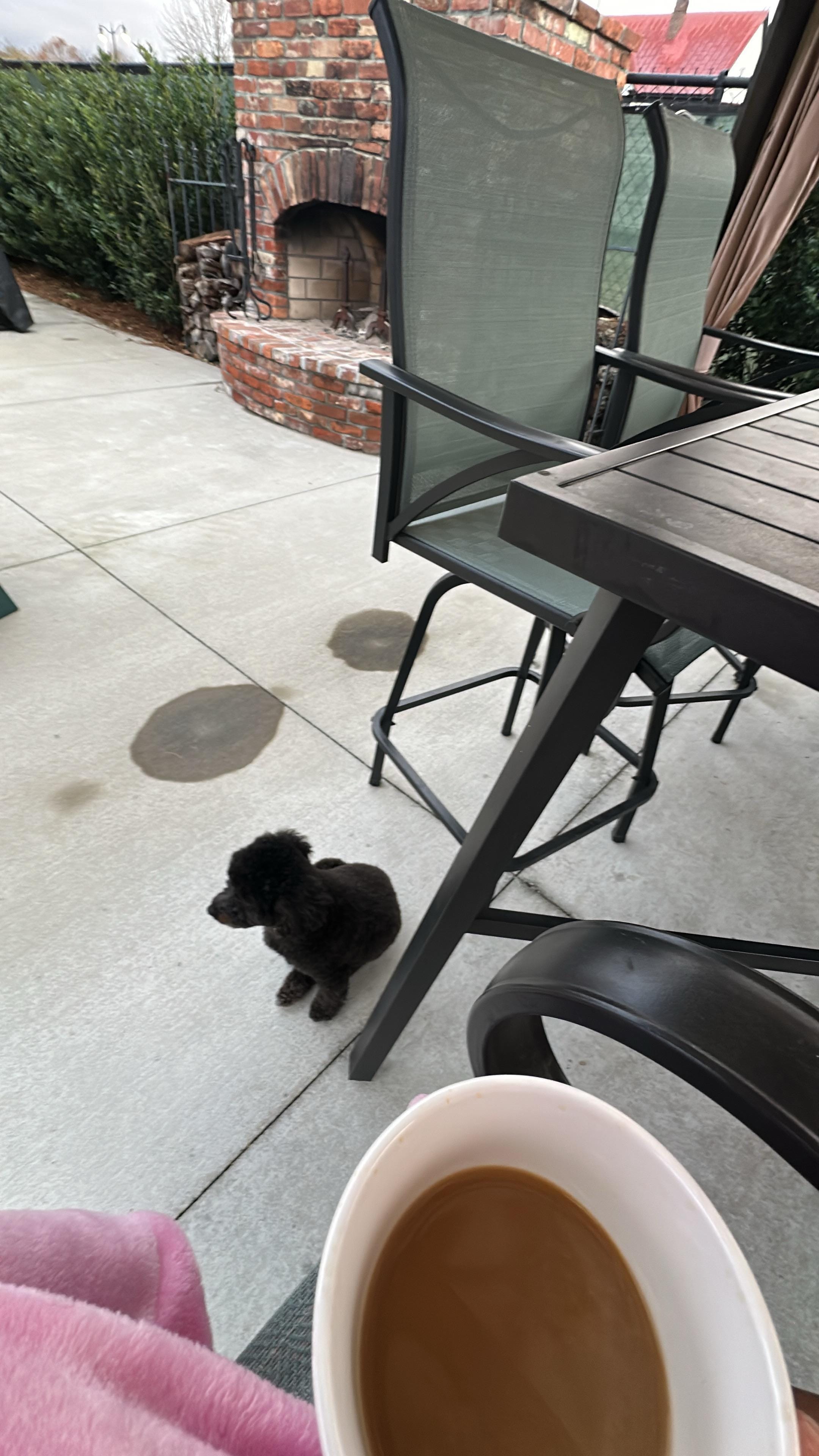 My dog and I out early in the morning enjoying the fresh air.