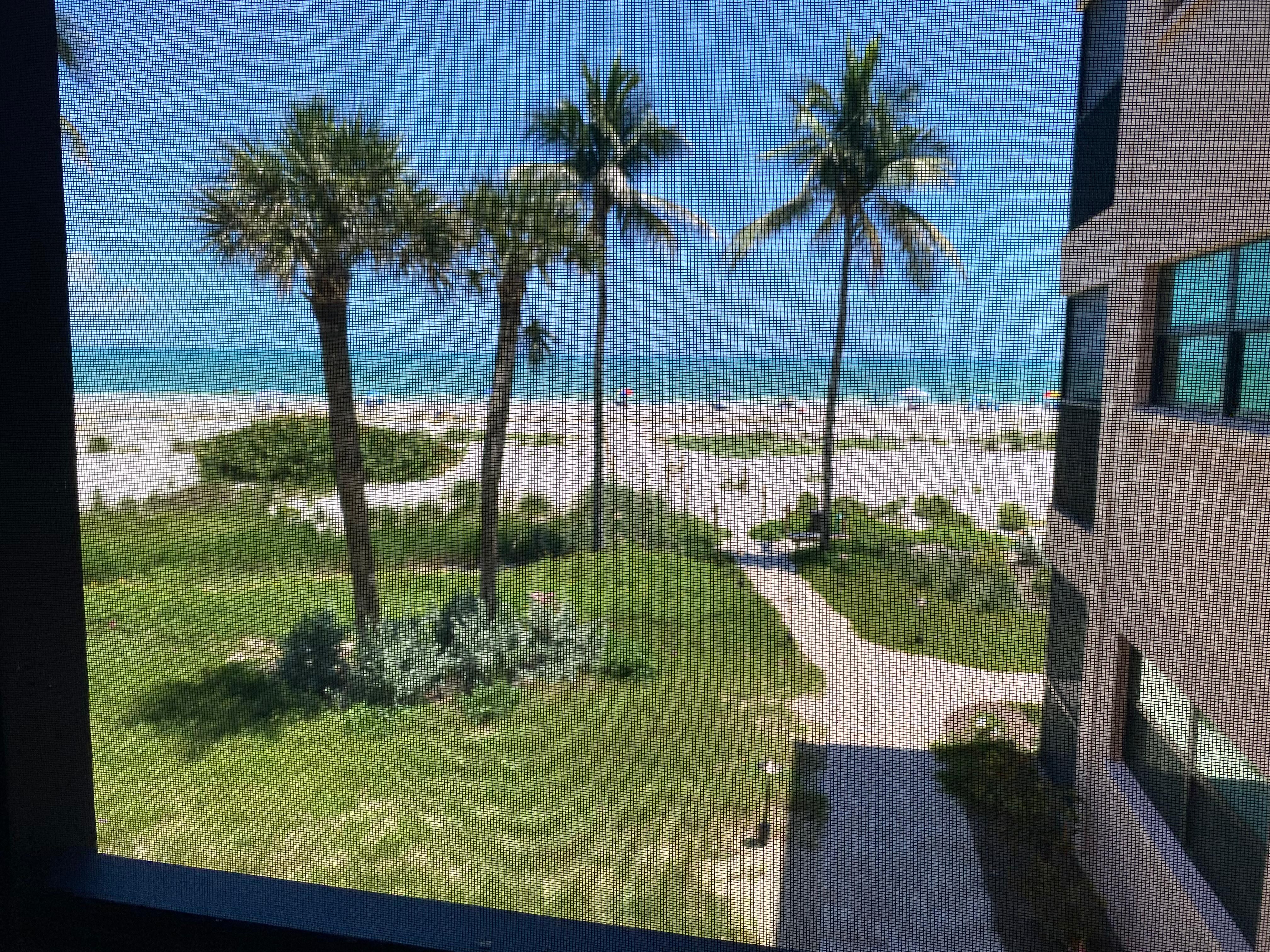 View from the condo