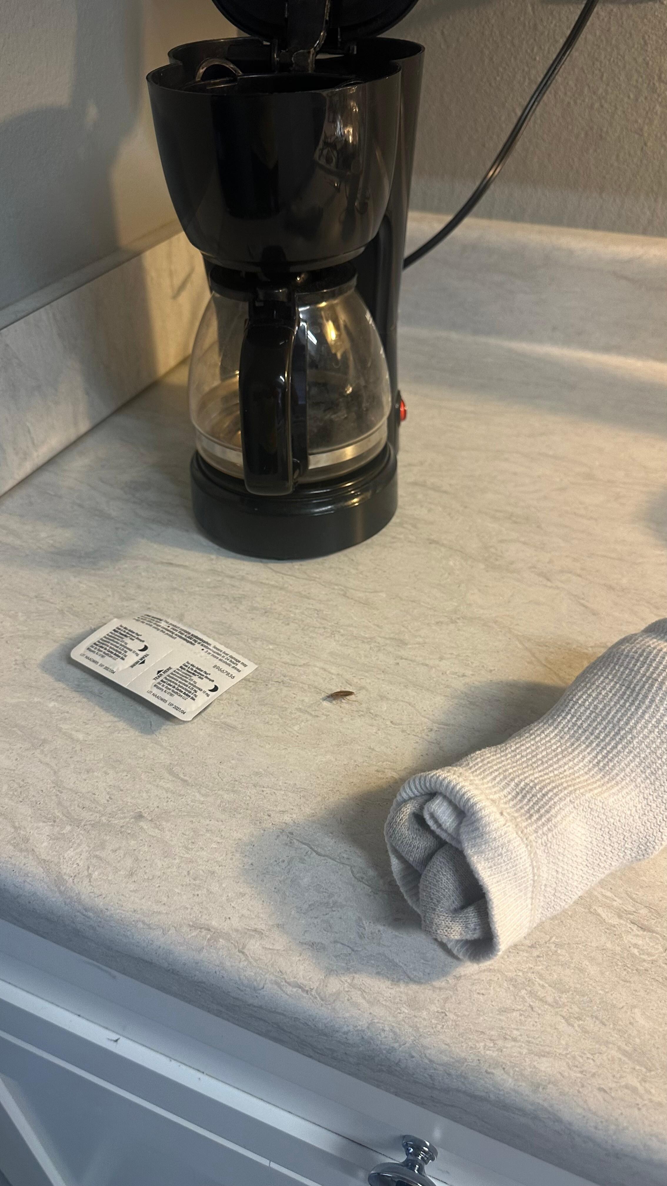Coffee with roaches