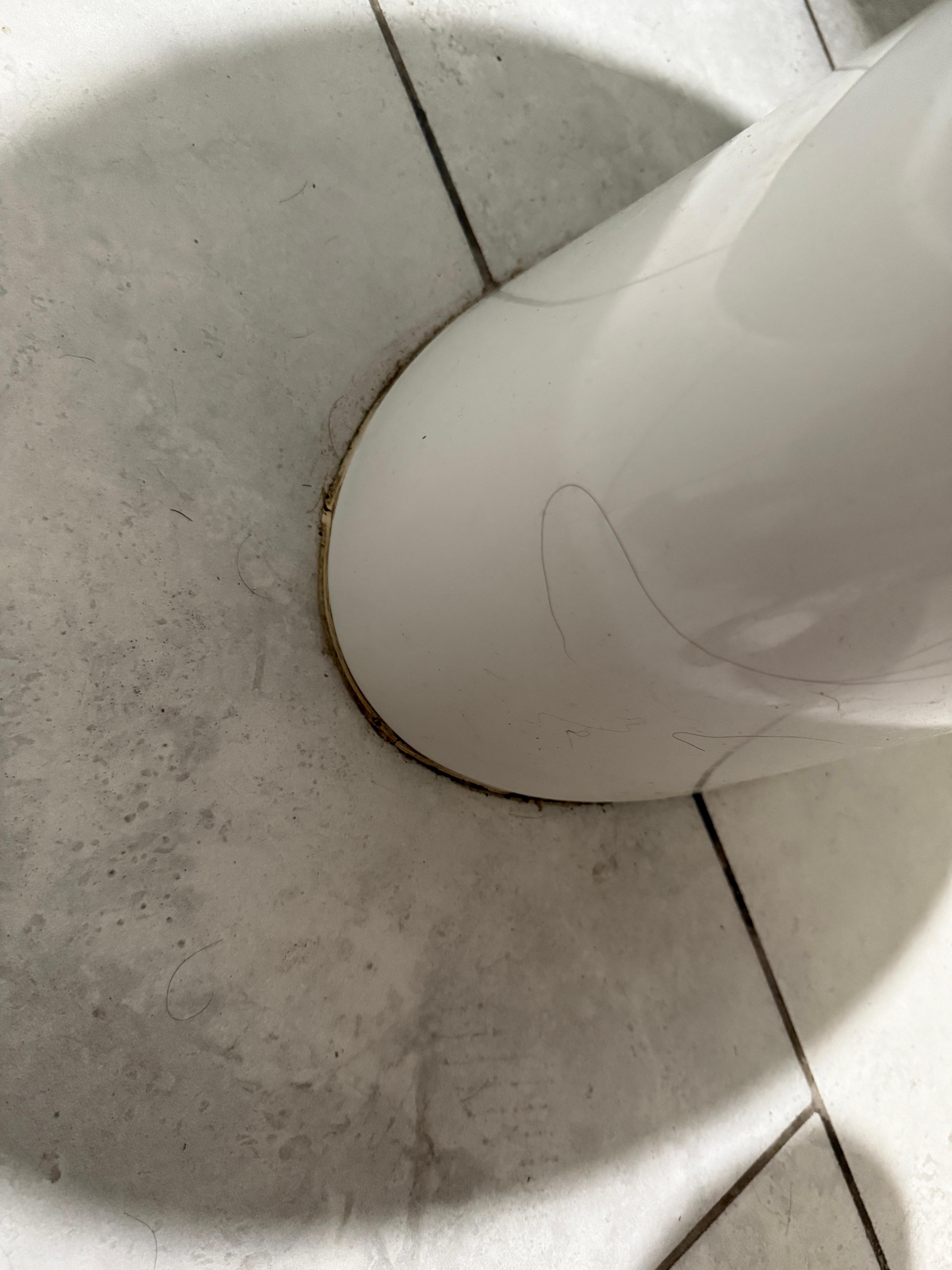 Toilet filled with hair not cleaned