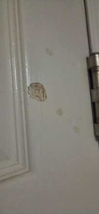 Damaged door