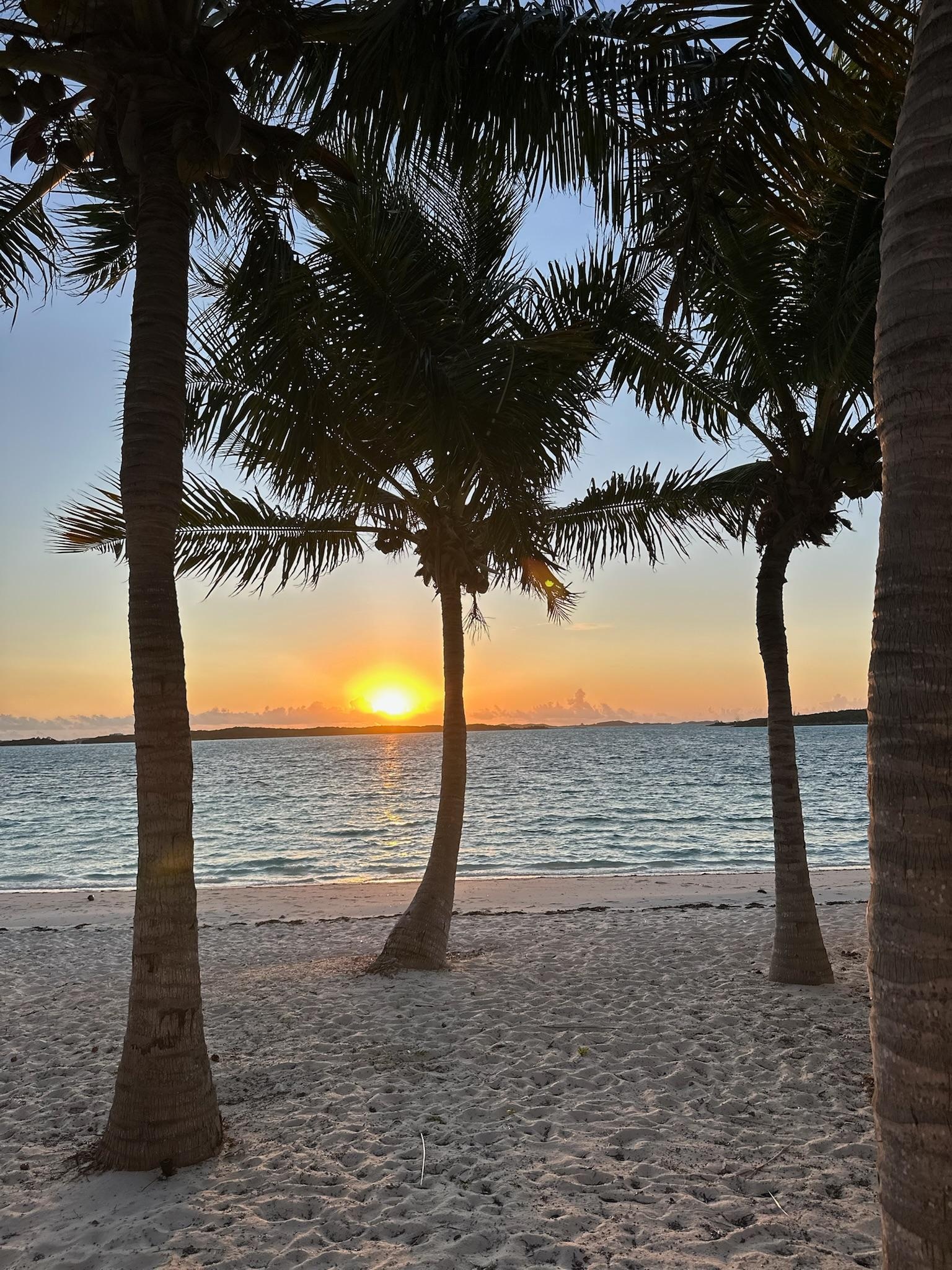 Sunrise at the Beach Club