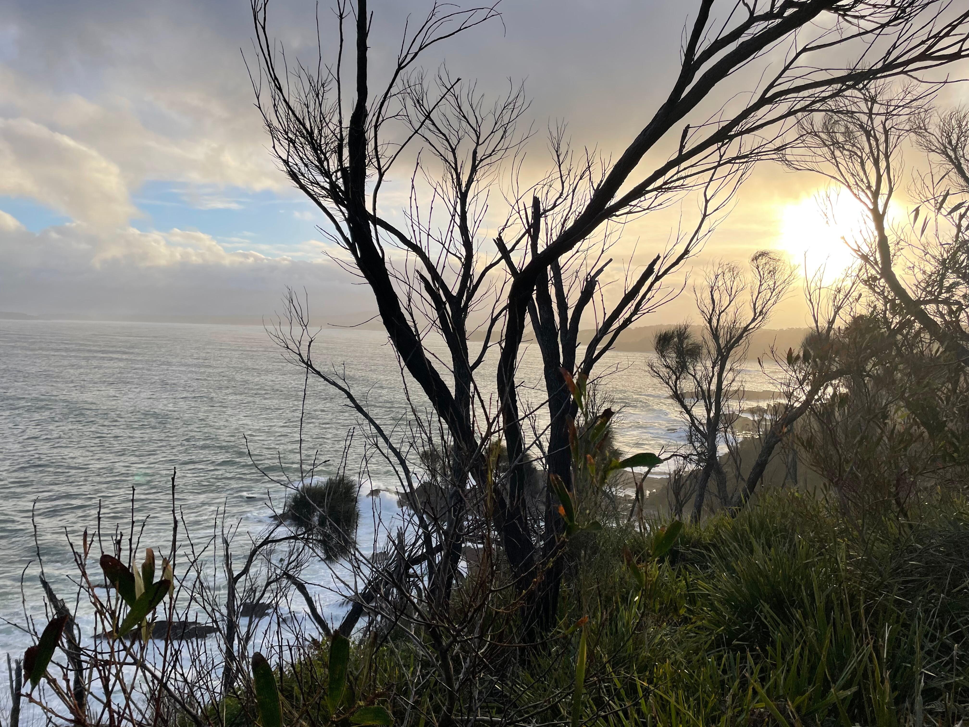 Beautiful local area