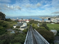 View from
the tram