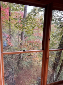 View from dining room