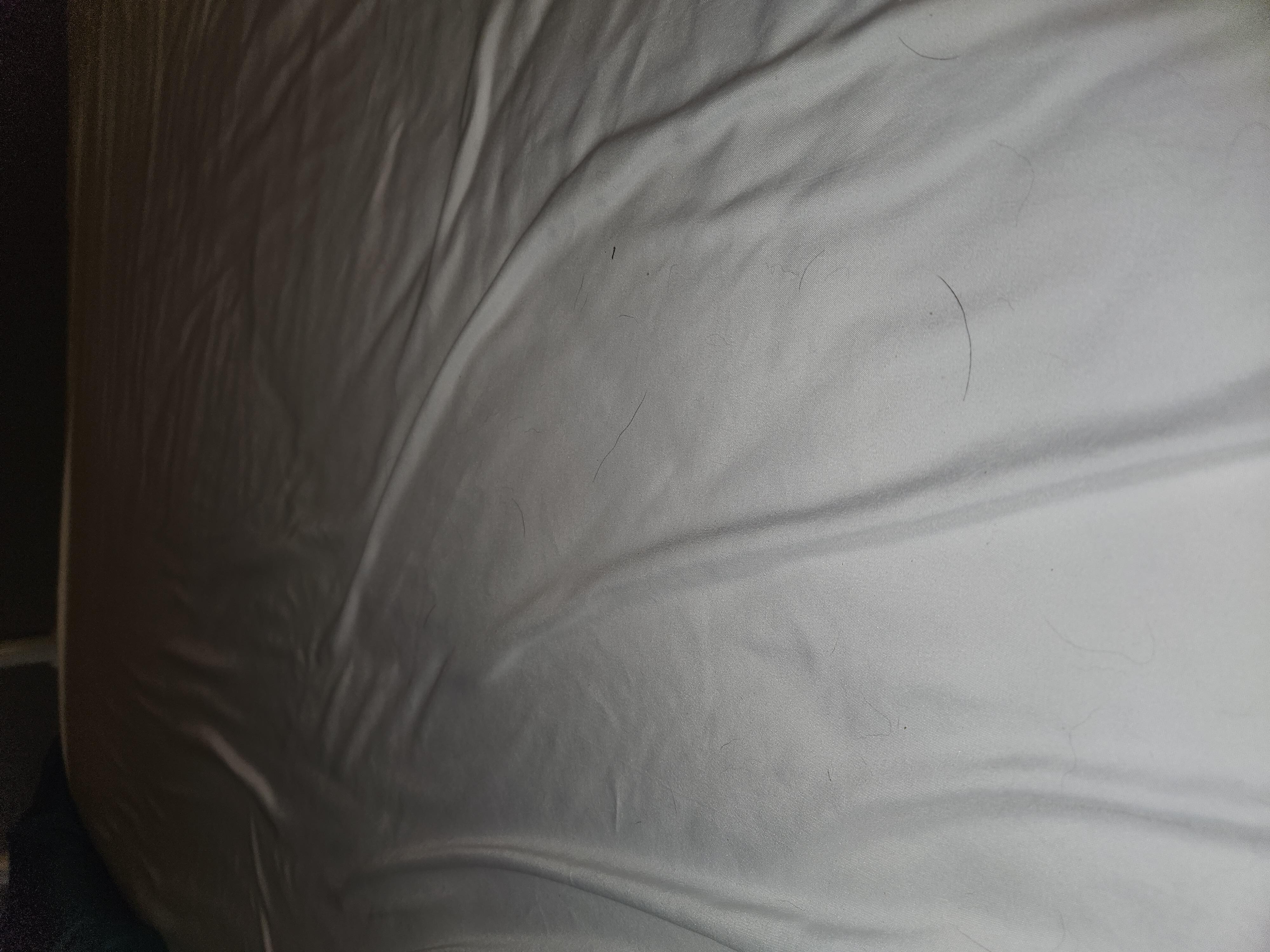 Sheets had hair on them