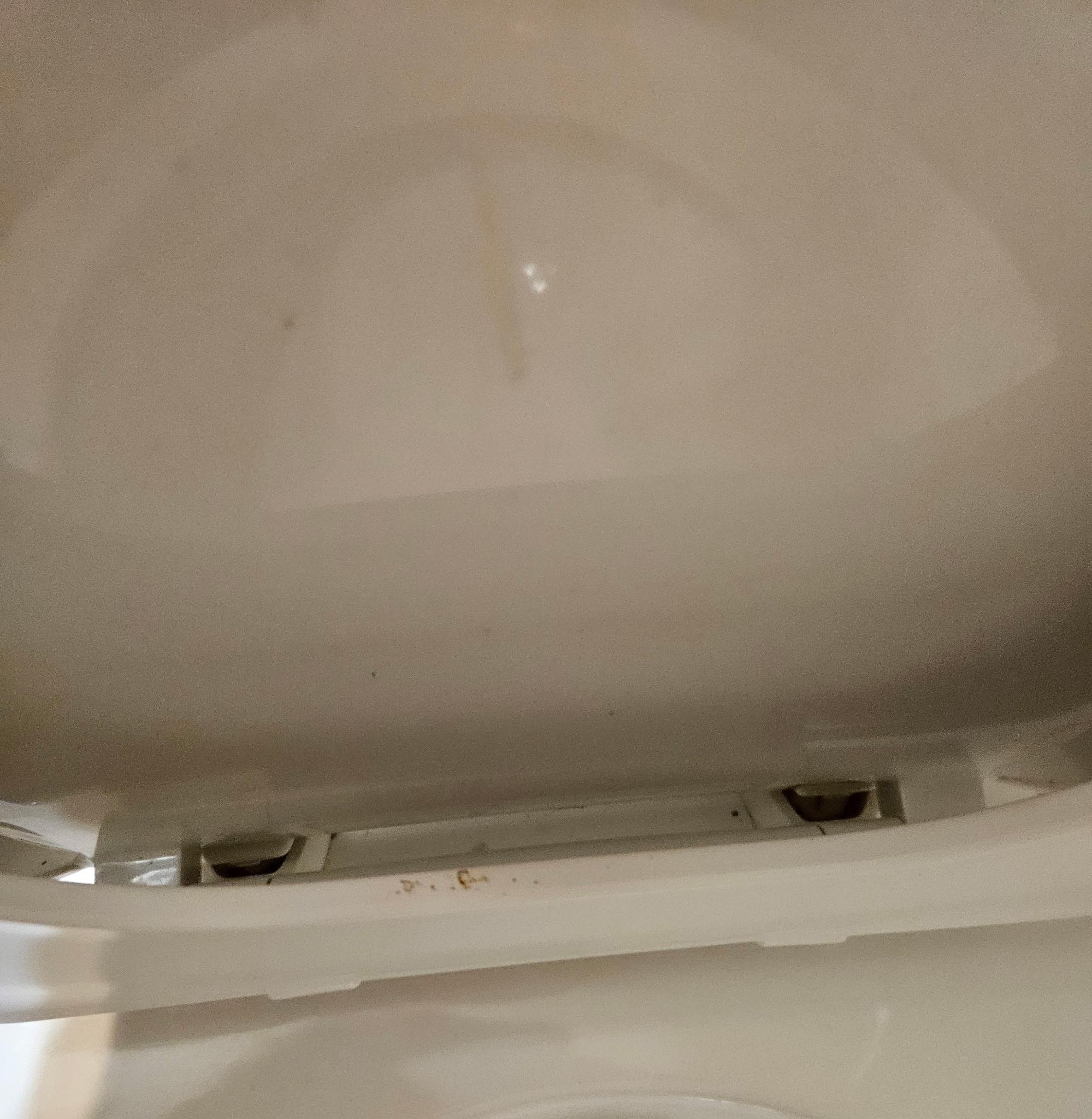 Toilet seat