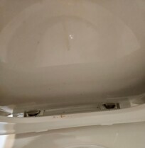Toilet seat