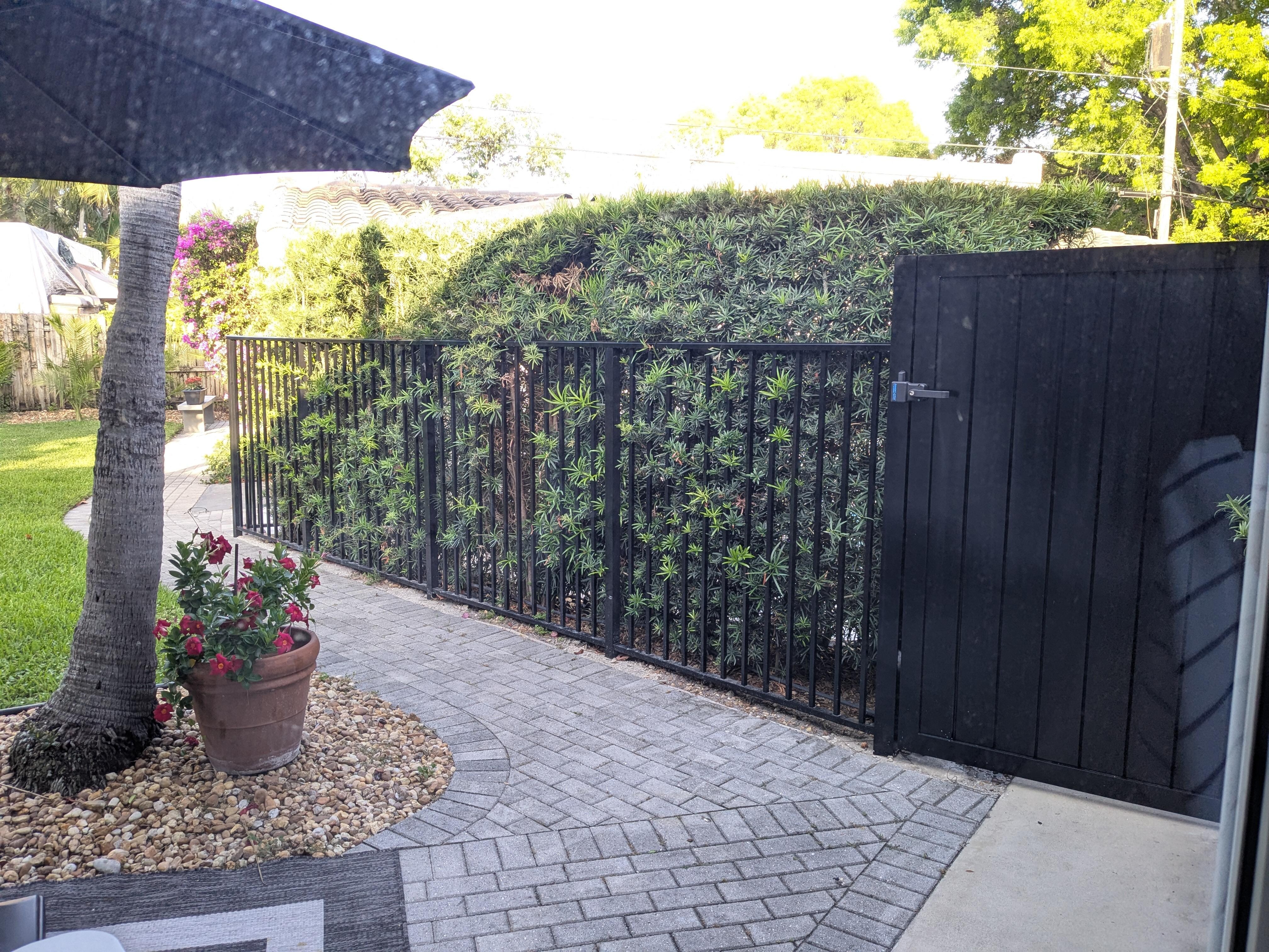 Owner's garden