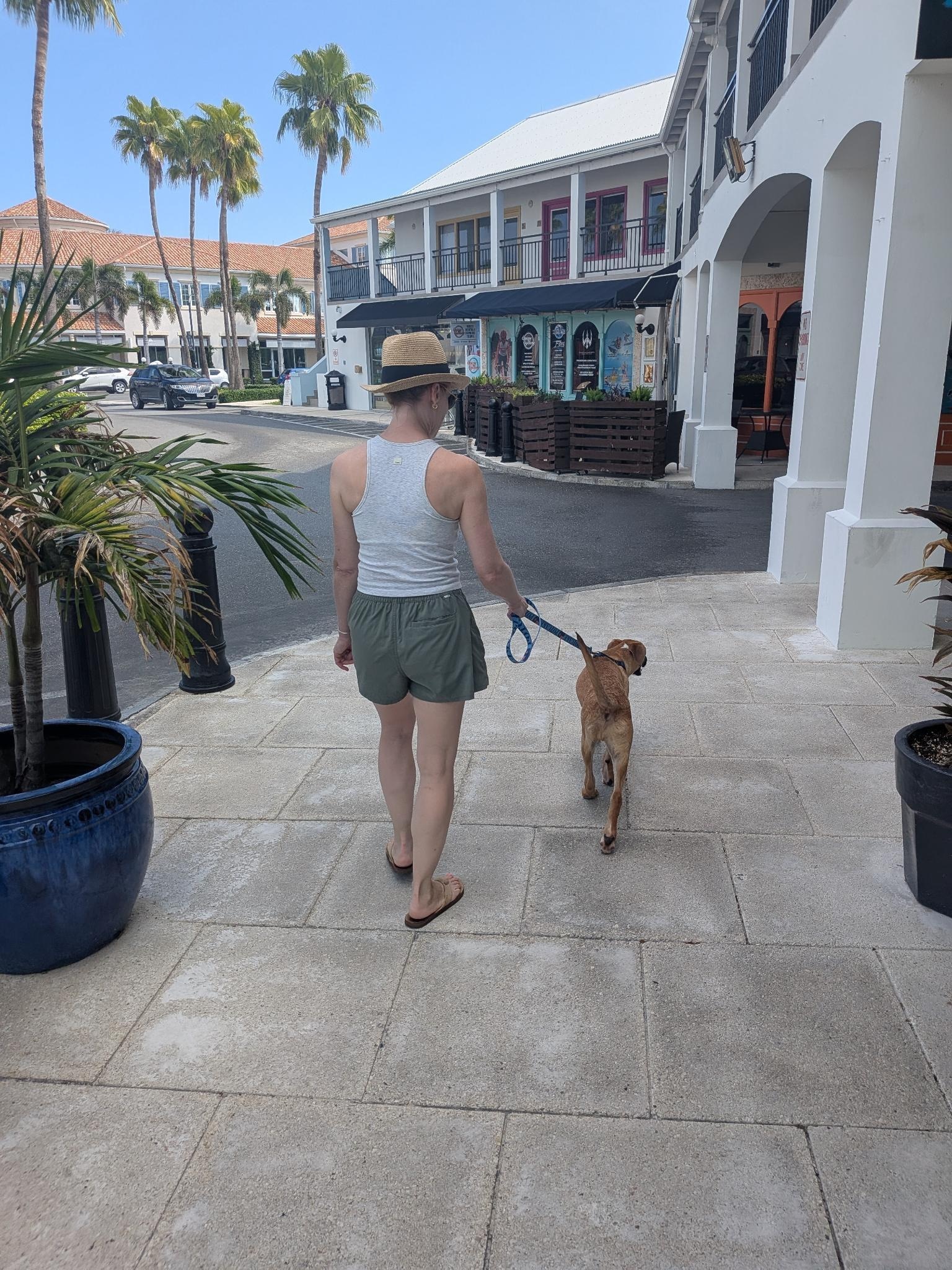 Walking our Potcake pup